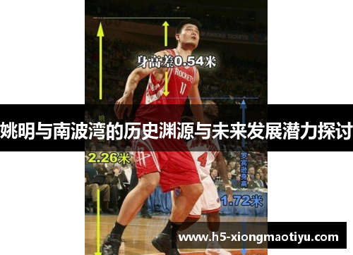 姚明与南波湾的历史渊源与未来发展潜力探讨