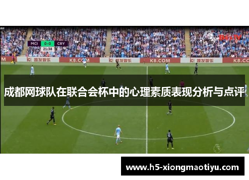 成都网球队在联合会杯中的心理素质表现分析与点评