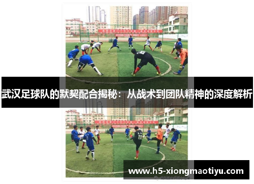 武汉足球队的默契配合揭秘：从战术到团队精神的深度解析