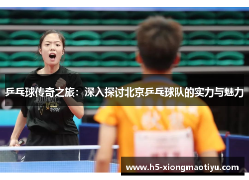 乒乓球传奇之旅：深入探讨北京乒乓球队的实力与魅力